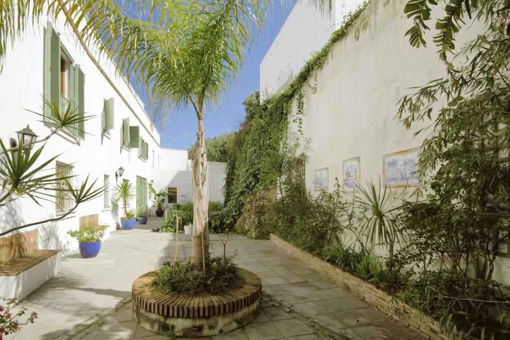 טריפה Apartamentos Gravina מראה חיצוני תמונה